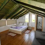 Artemis Villa *