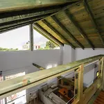 Artemis Villa