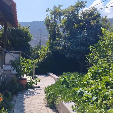 Artemis Villa *
