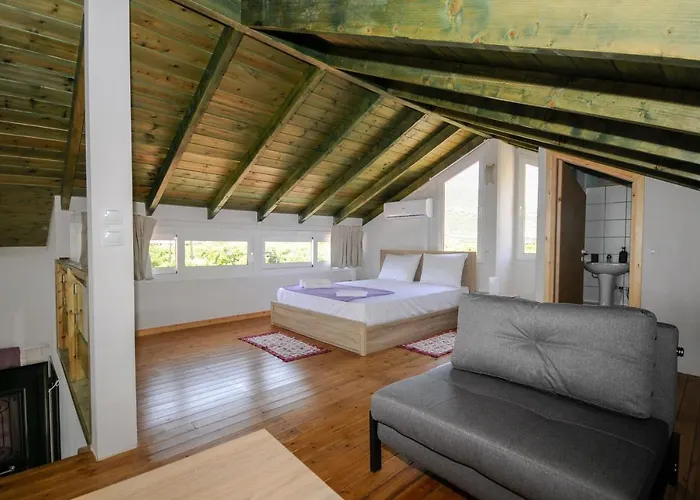 Artemis Villa *